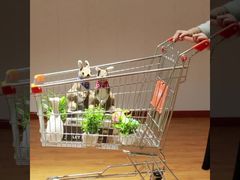 Jenis Asia toko kelontong membawa Galvanized Sertifikat SGS Escalator Grocery Shopping Trolley